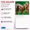 Plato; Magnificent Horses | 2027 12 x 24 Inch (Hanging) Monthly Square Wall Calendar | Foil Stamped Cover; Category:Wall Calendars; Image:7